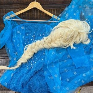 Elsa costume Adult costume includes dress and Wig worn once
